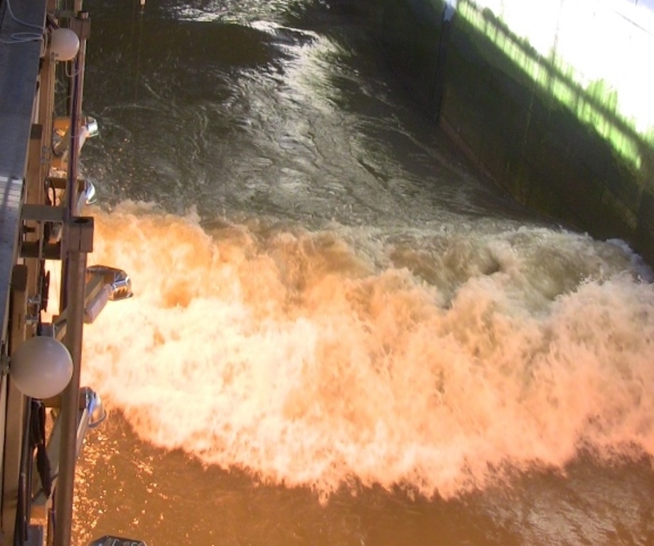 HYDRALAB IV Large Wave Flume Experiment 'Wave Dissipation by Salt Marshes under Extreme Water Levels and Waves''s image